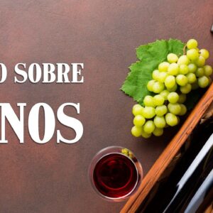 TODO SOBRE VINOS