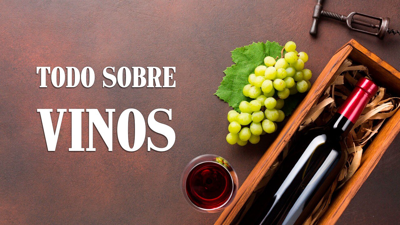 TODO SOBRE VINOS